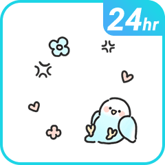 火爆小鸚鵡頭框 24 小時